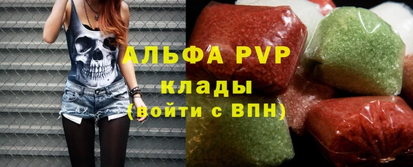 прущие грибы Медногорск