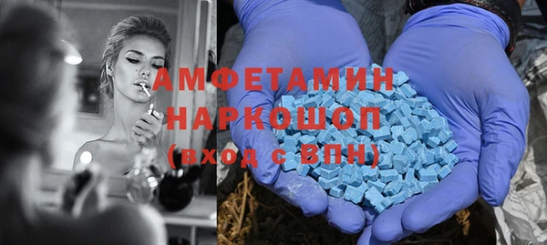 прущие грибы Медногорск